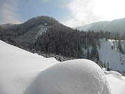 P2140016.JPG