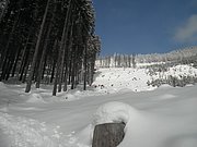 P2140017.JPG