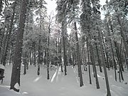P2140025.JPG