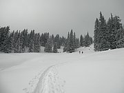 P2140031.JPG