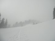 P2140035.JPG