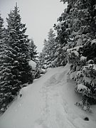 P2140036.JPG