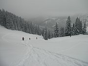 P2140042.JPG