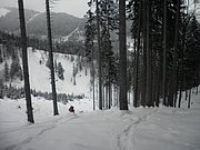P2140046.JPG