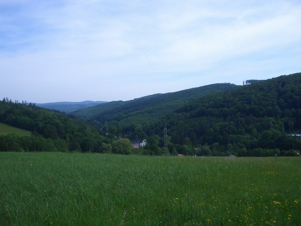 CIMG5144.JPG