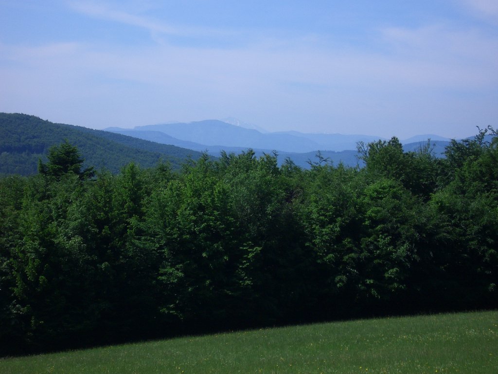 CIMG5149.JPG