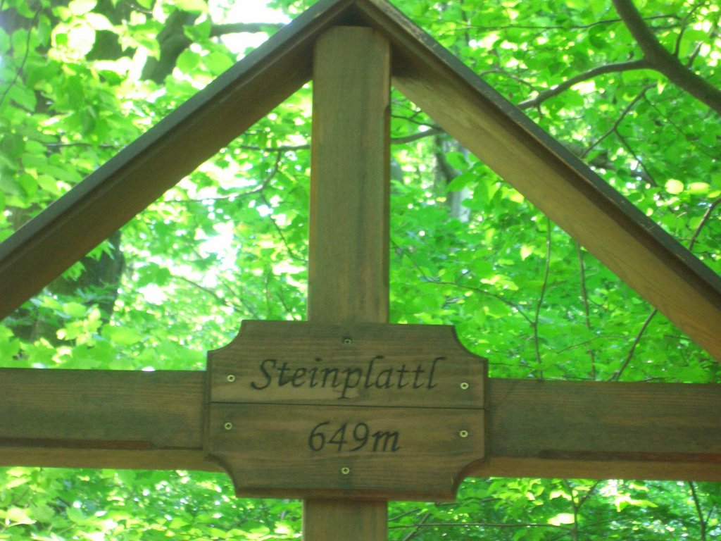 CIMG5158.JPG