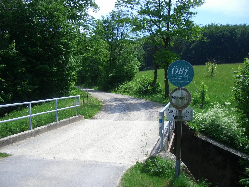 CIMG5175.JPG