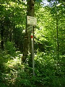 CIMG5154.JPG