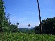 CIMG5163.JPG