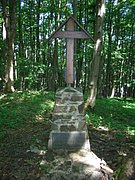 CIMG5167.JPG