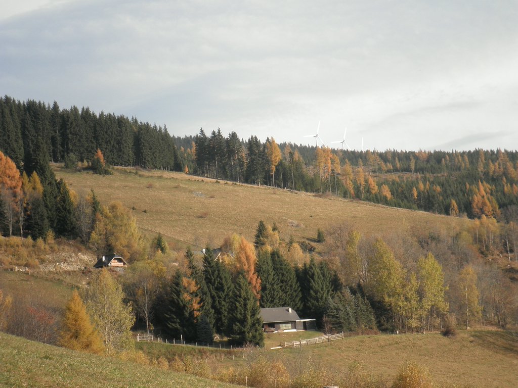PA310004.JPG