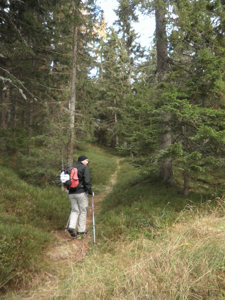 PA310011.JPG