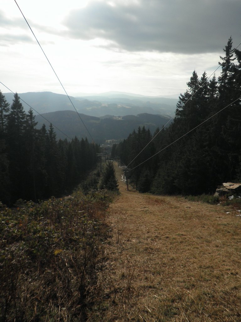 PA310014.JPG