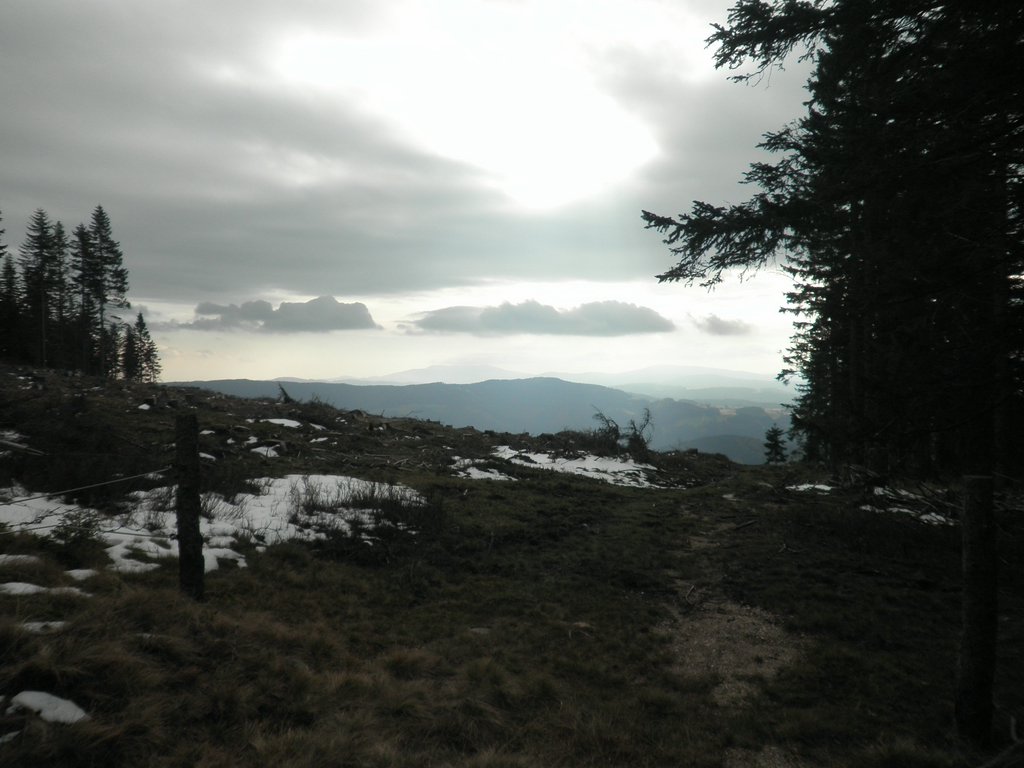 PA310024.JPG