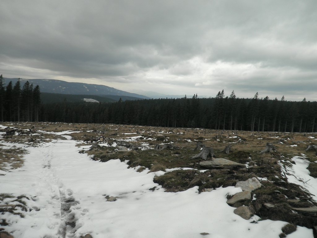 PA310025.JPG