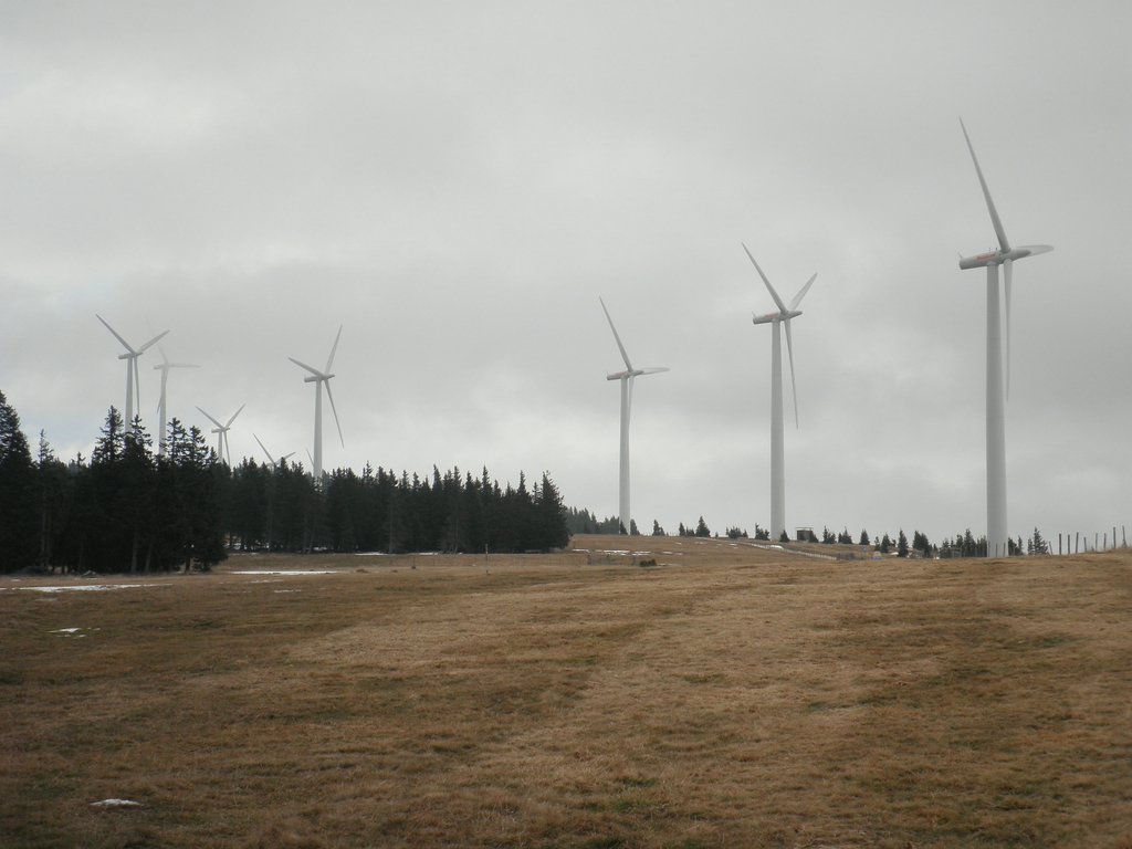 PA310028.JPG