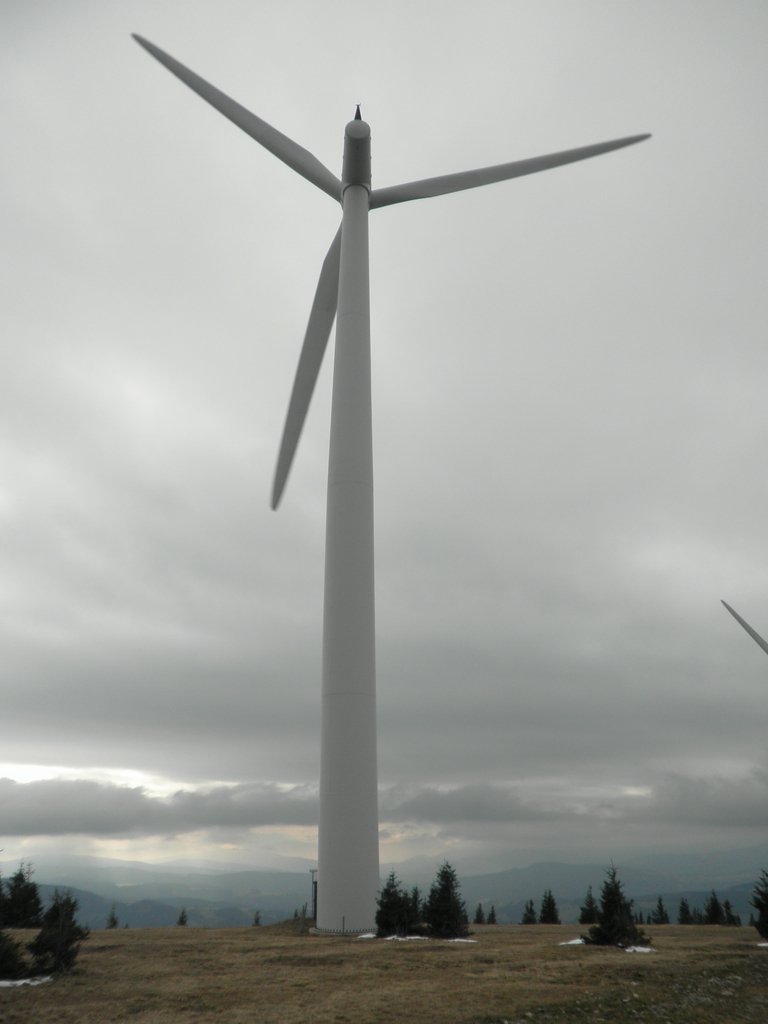 PA310036.JPG