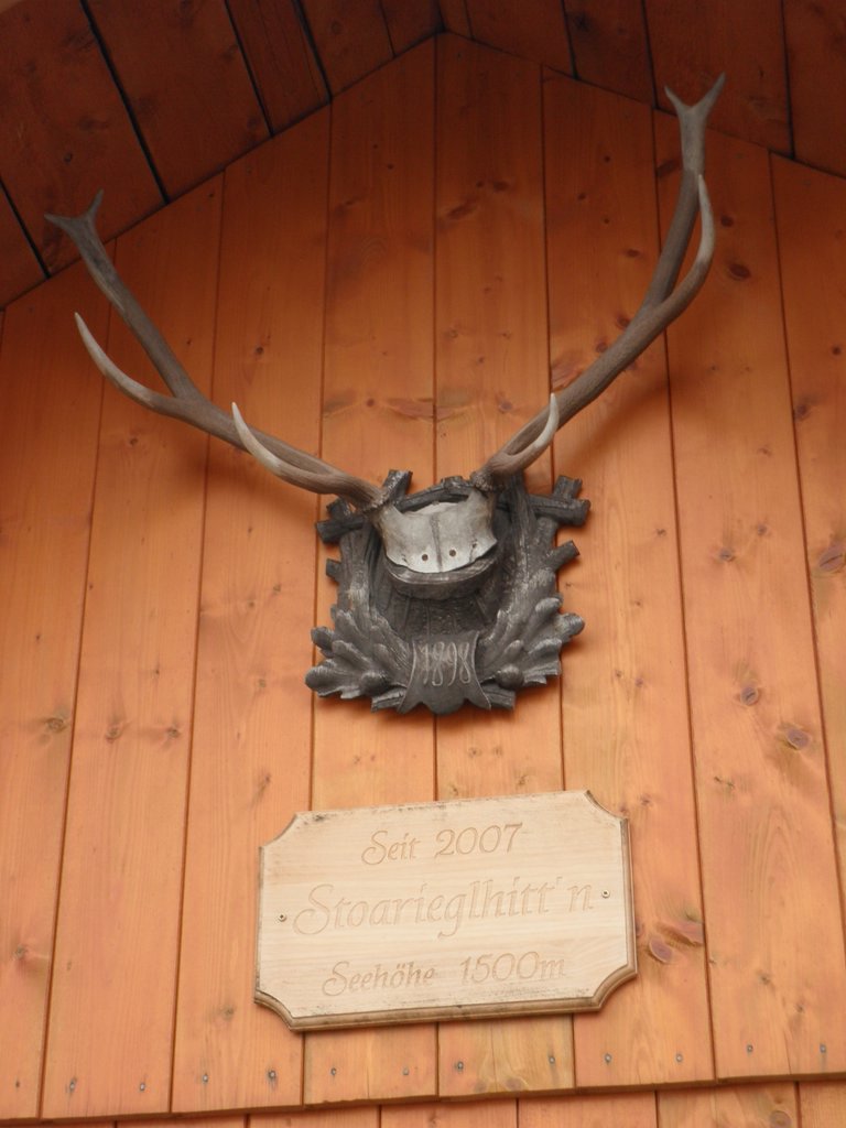 PA310038.JPG