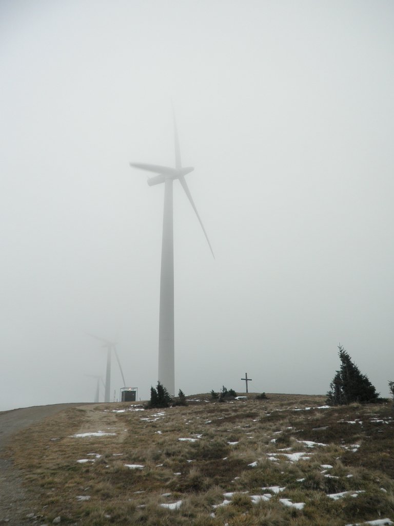 PA310039.JPG