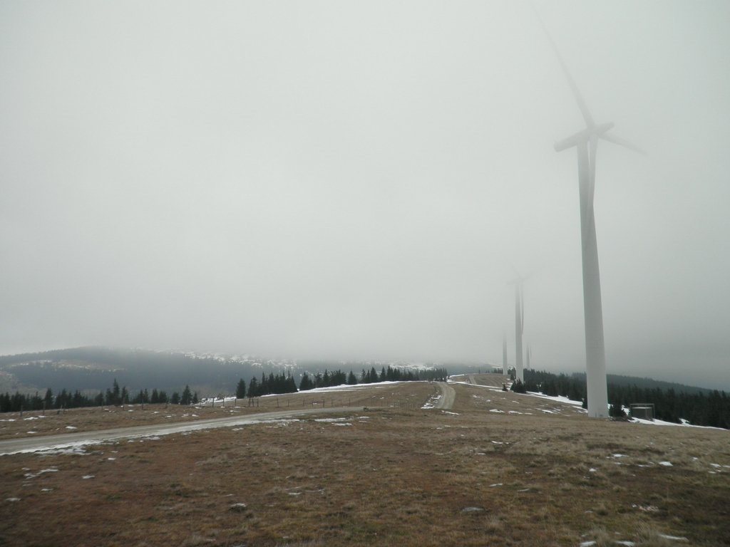 PA310043.JPG
