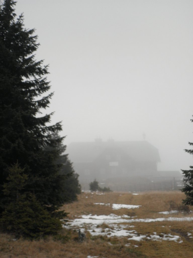 PA310047.JPG
