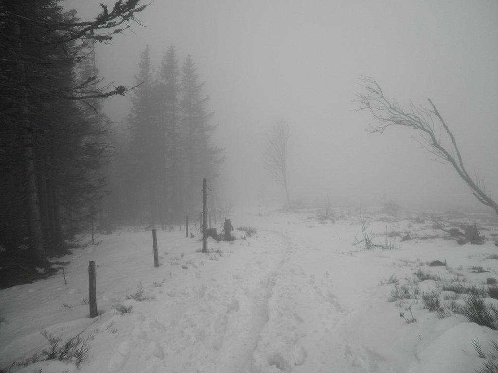 PA310054.JPG