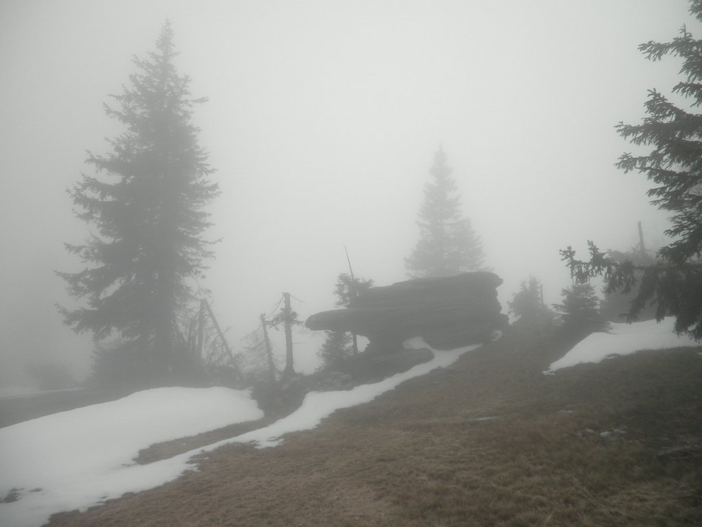 PA310055.JPG