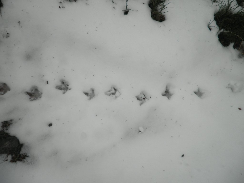PA310057.JPG