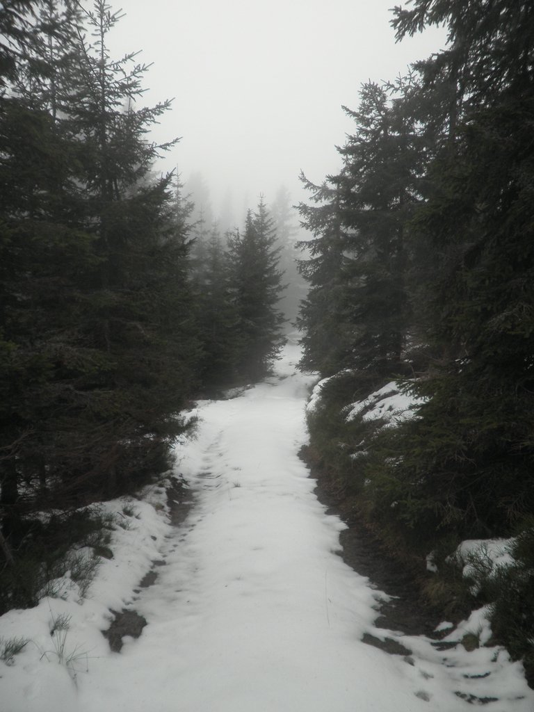 PA310058.JPG