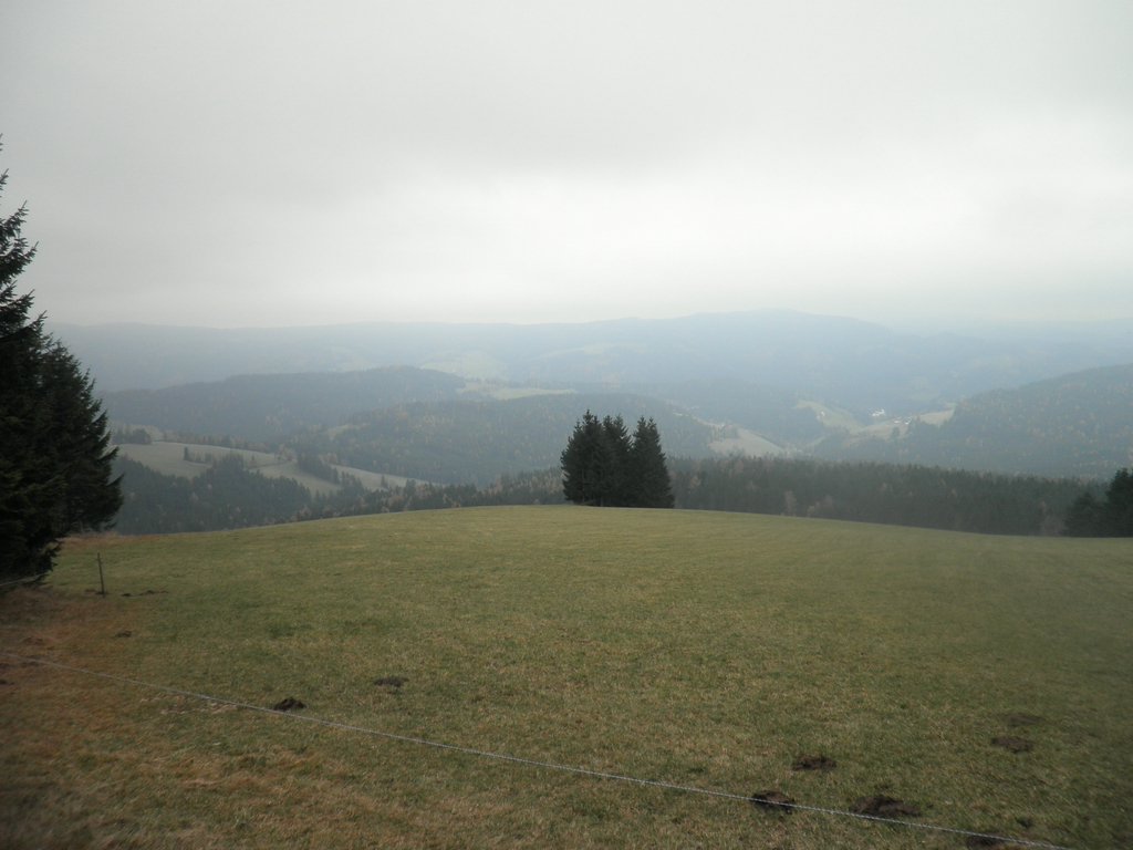 PA310059.JPG