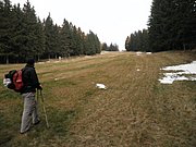 PA310010.JPG