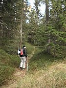 PA310011.JPG