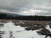 PA310025.JPG