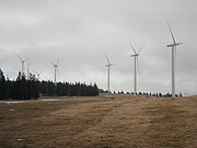 PA310028.JPG