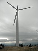 PA310036.JPG