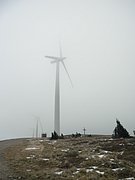 PA310039.JPG