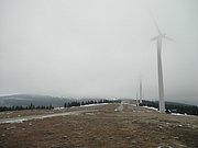 PA310043.JPG