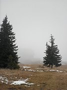PA310046.JPG