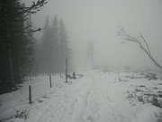 PA310054.JPG