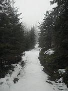 PA310058.JPG