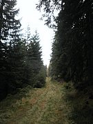 PA310060.JPG