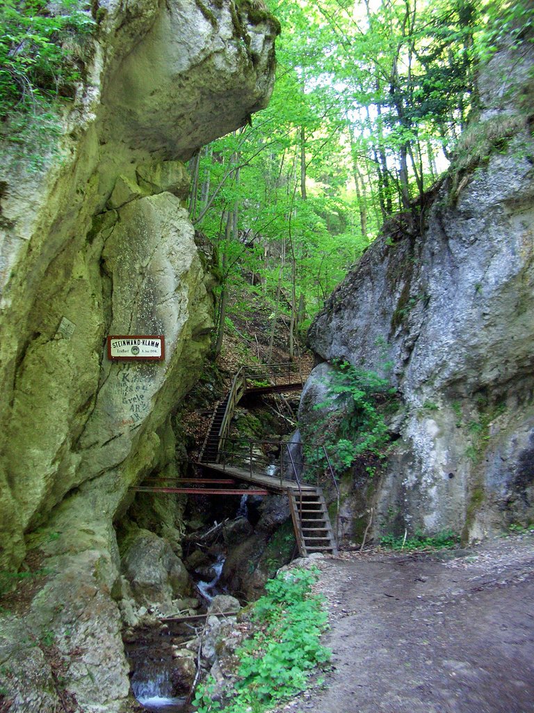 CIMG4874.JPG