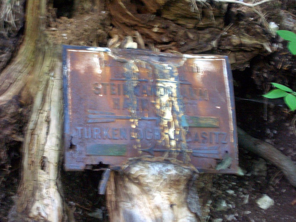 CIMG4894.JPG