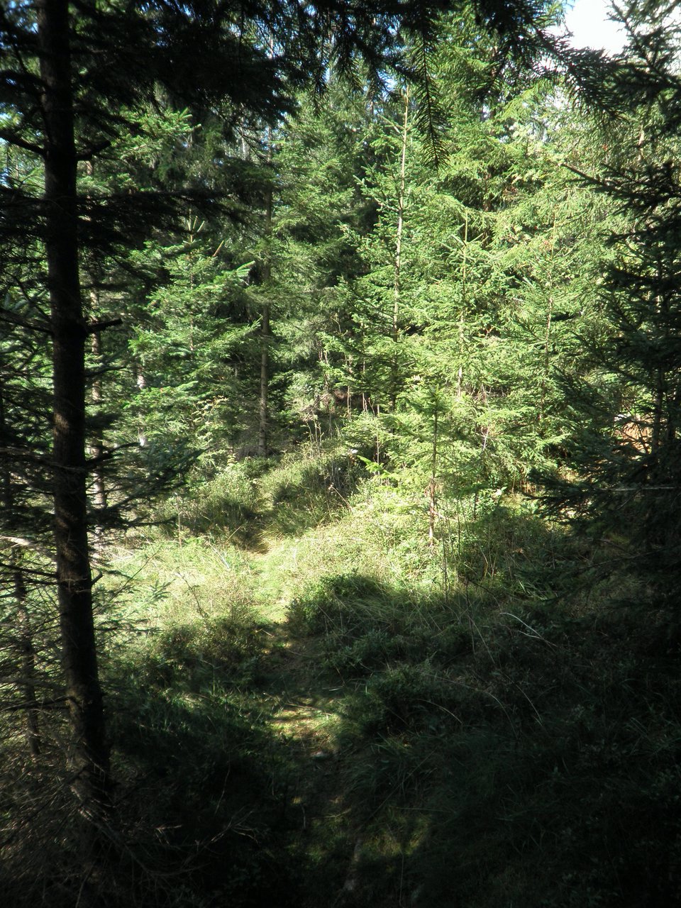 P9060009.JPG