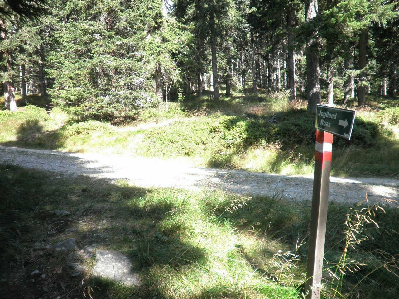 P9060013.JPG