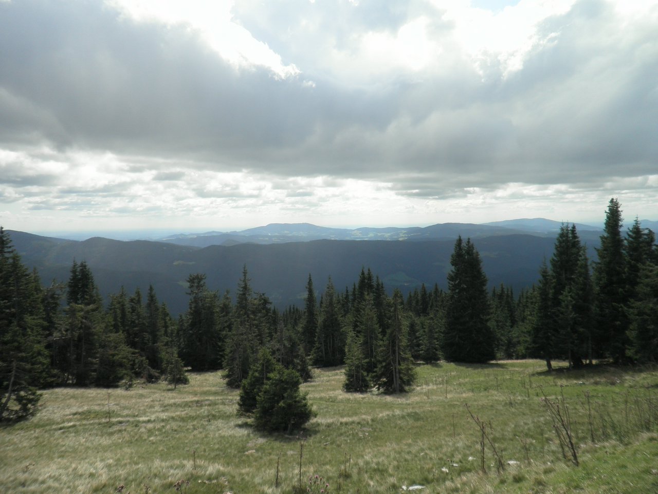 P9060020.JPG
