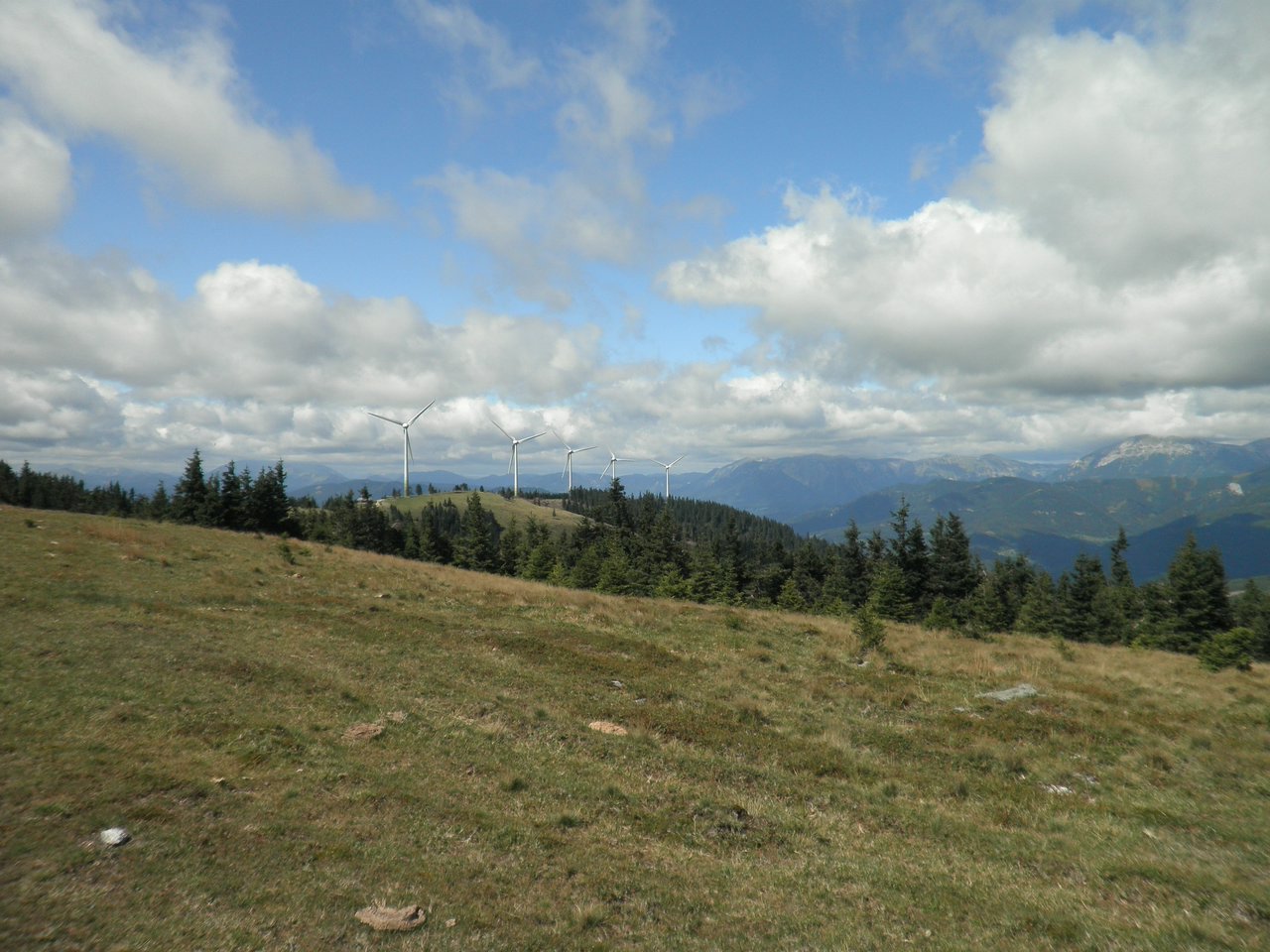 P9060042.JPG