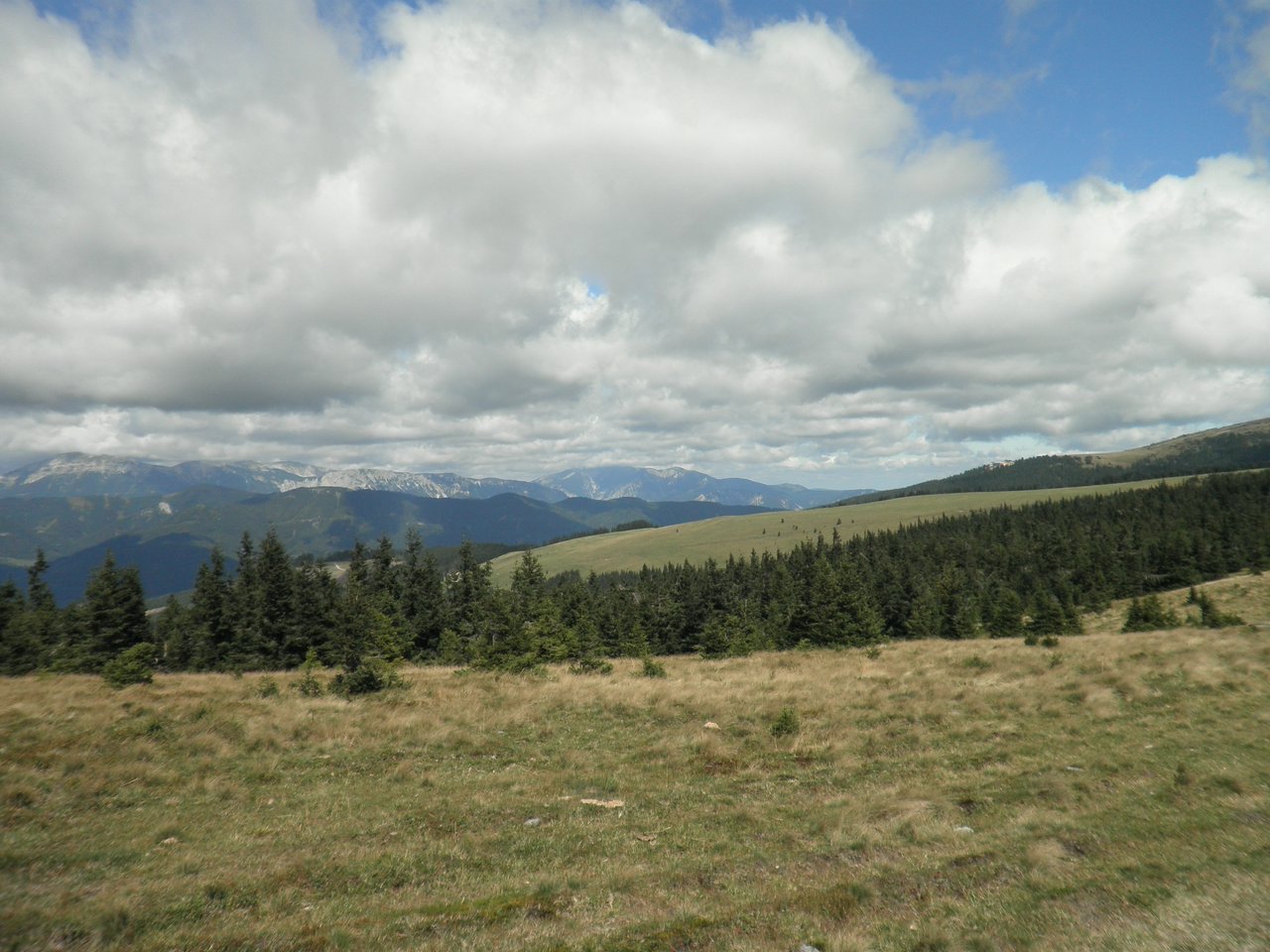 P9060043.JPG