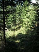 P9060009.JPG